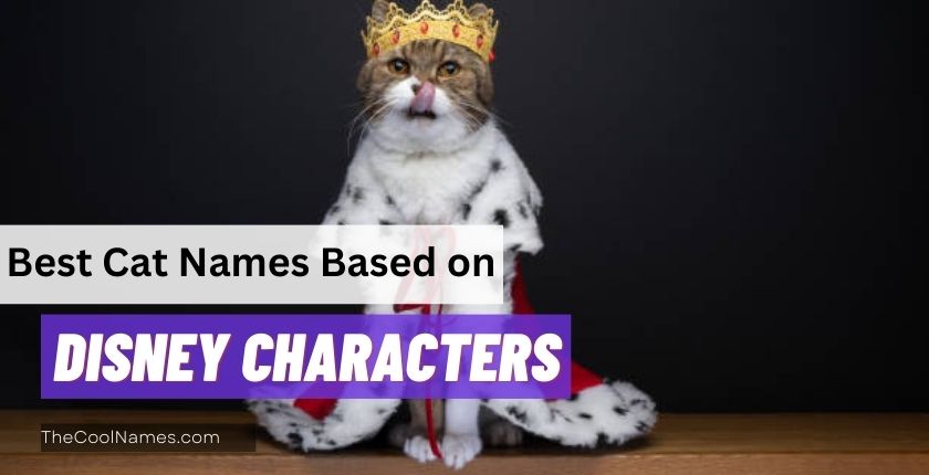 Best Cat Names Based on Disney Characters