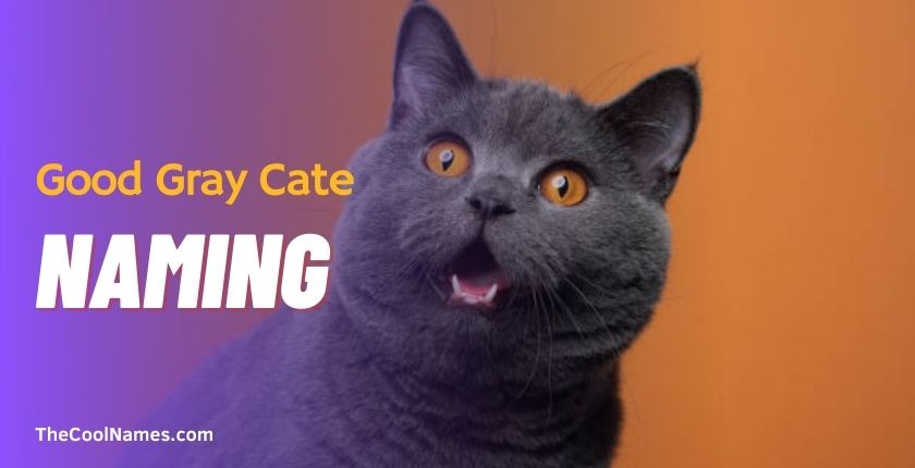Good Gray Cate Names