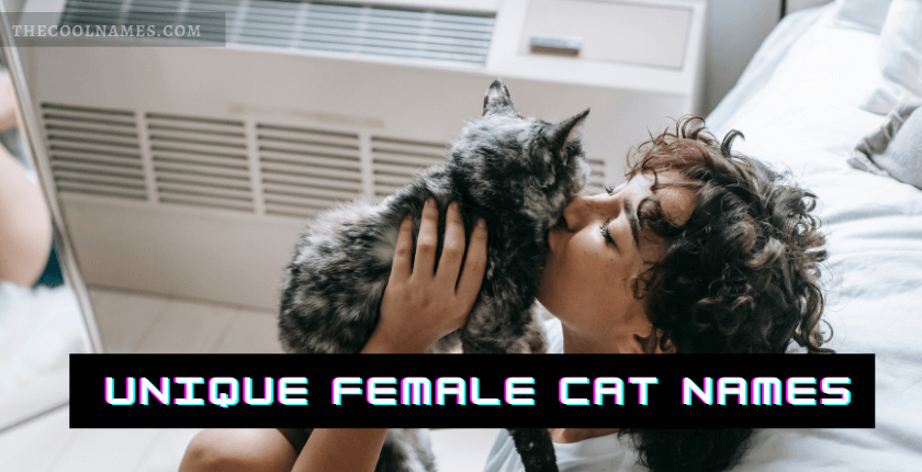 Top 100 Unique Female Cat Names