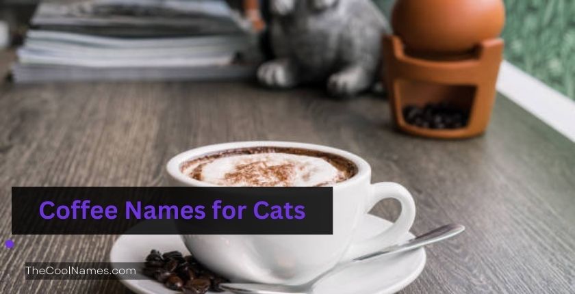 Coffee Names for Cats