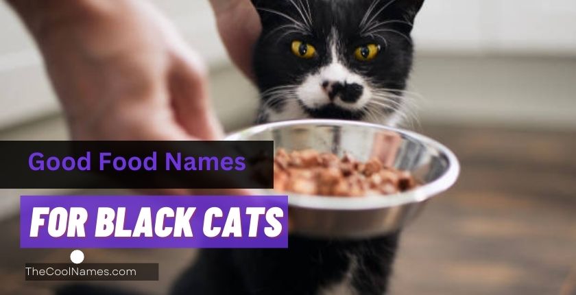Good Food Names for Black Cats
