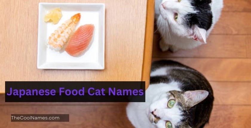 Japanese Food Cat Names