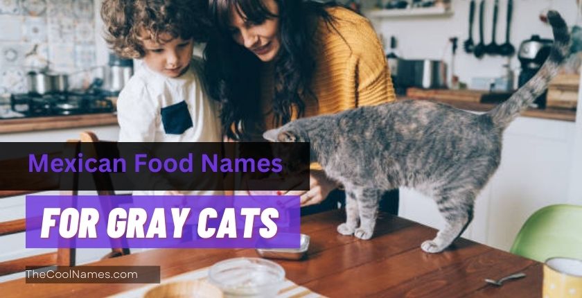 Mexican Food Names for Gray Cats