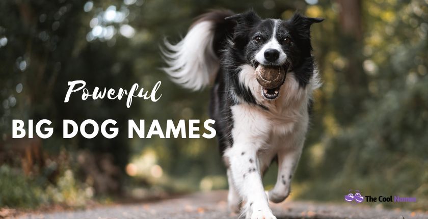 Powerful Big Dog Names