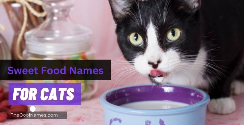 Sweet Food Names for Cats