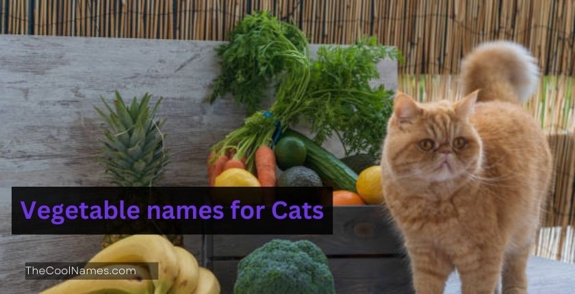 Vegetable names for Cats