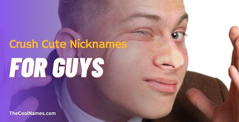 Crush Cute Nicknames for Guys