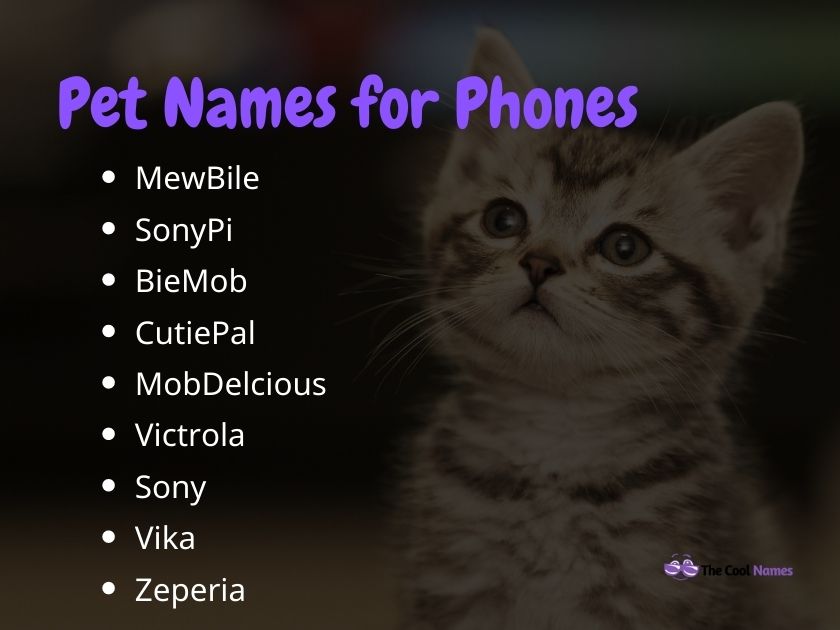 Pet Names for Phones