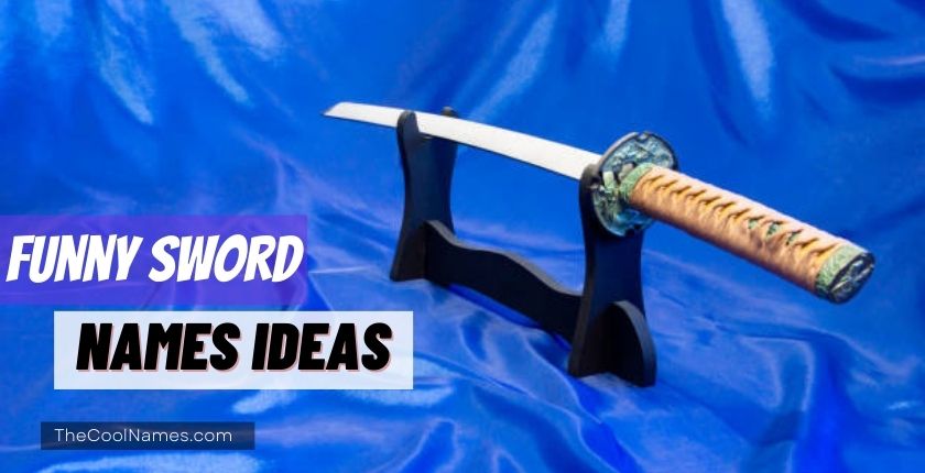 Funny Sword Names Ideas