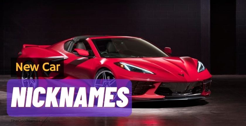 Best Brand-New Car nicknames 
