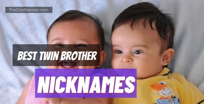 Best Twin Brother Nicknames