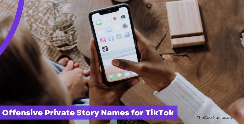 Offensive Private Story Names for TikTok