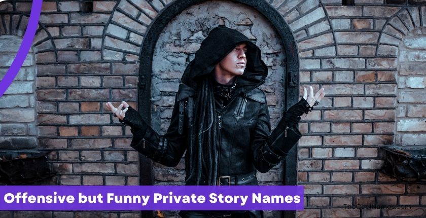 Offensive but Funny Private Story Names