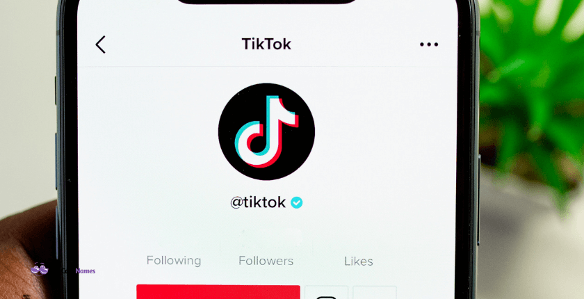 Cute Usernames for TikTok