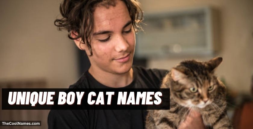 Unique Boy Cat Names