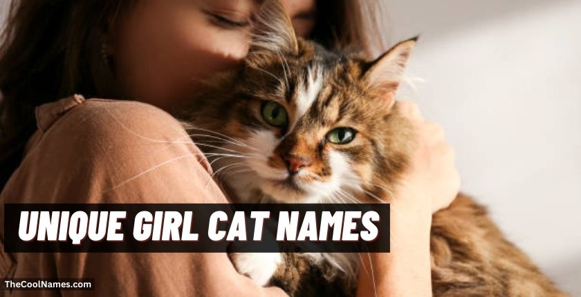 Unique Girl Cat Names