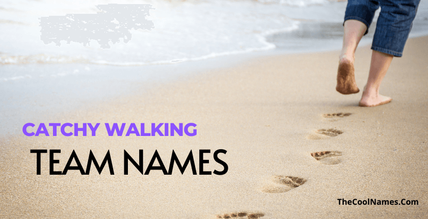 Catchy Walking Team Names