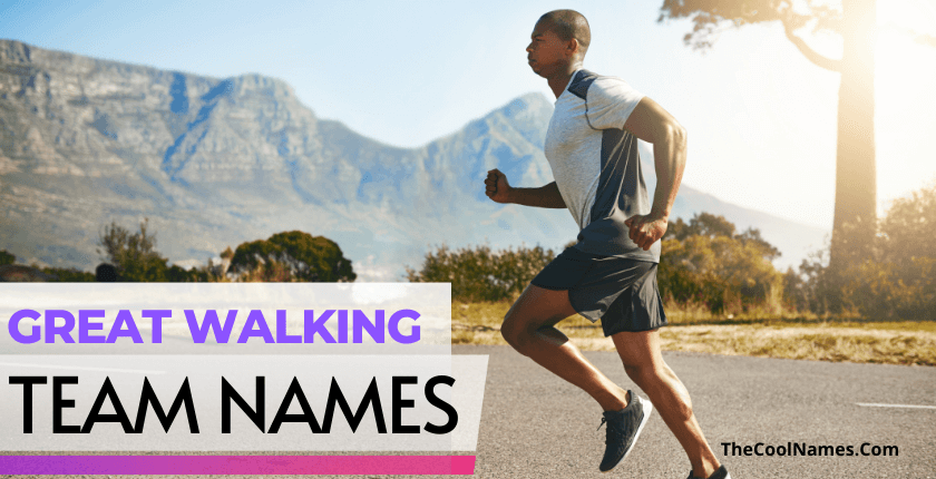 Great Walking Team Names