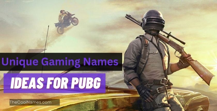 Unique Gaming Names Ideas for PUBG