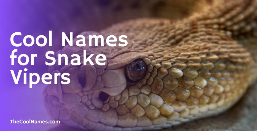Cool Names for Snake Vipers