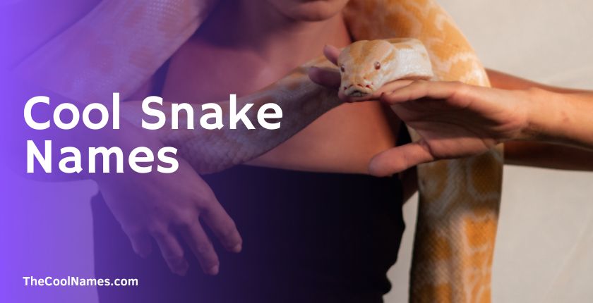 Cool Snake Names