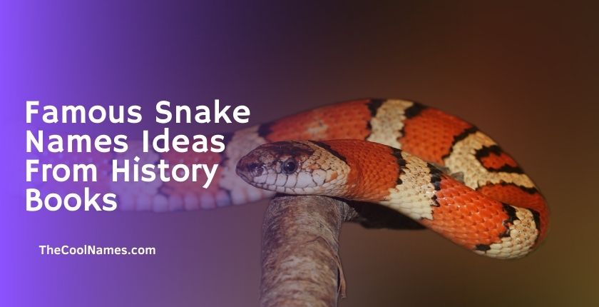 Famous Snake Names Ideas From History Books
