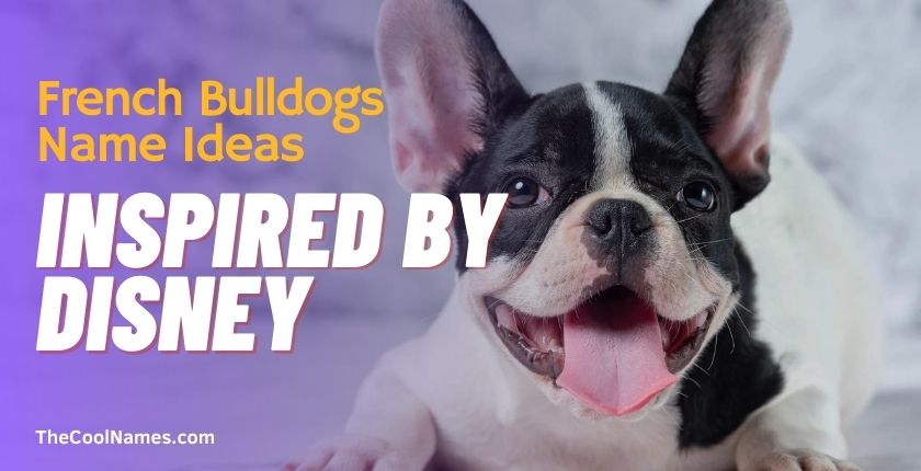 French Bulldogs Name Ideas Inspired by Disney 