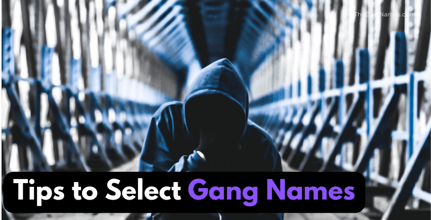 Tips to Select Gang Names 
