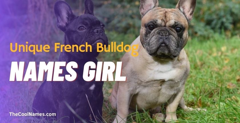Unique French Bulldog Names Girl