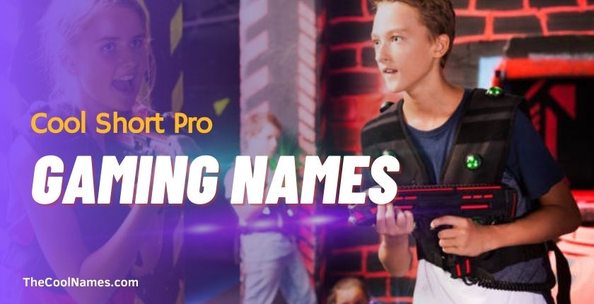 Cool Short Pro Gaming Names
