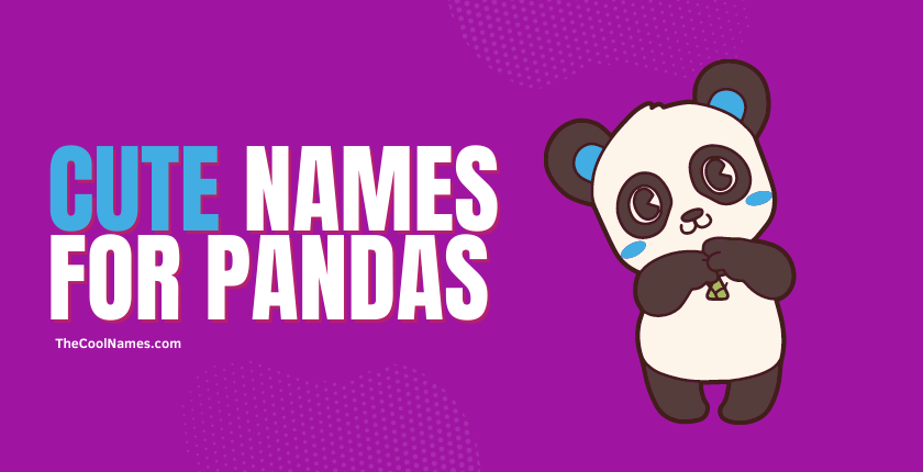 Cute Panda Names
