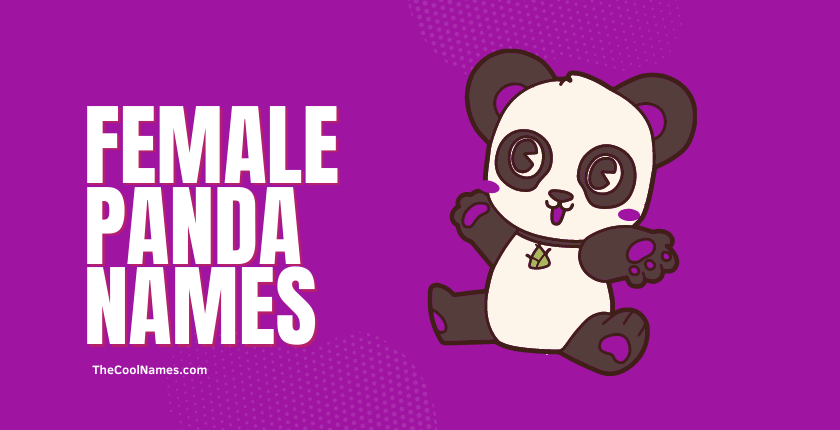 Female Panda Names