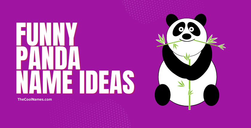 Funny Panda Name Ideas