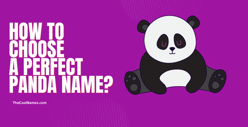 How to Choose a Perfect Panda Name