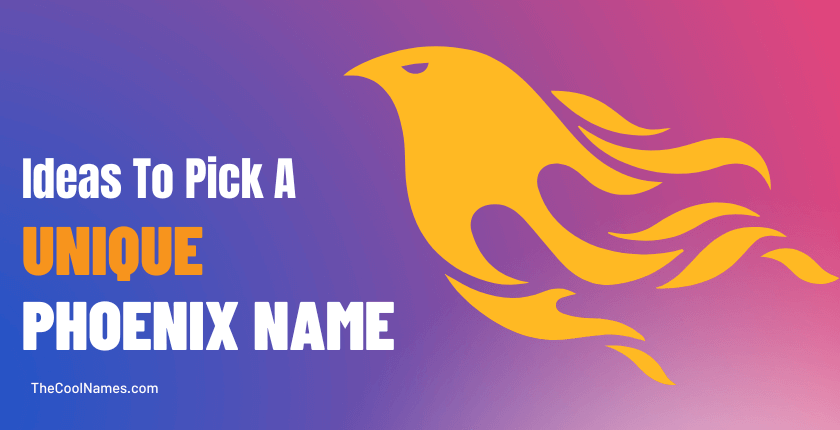 Ideas To Pick A Unique Phoenix Name