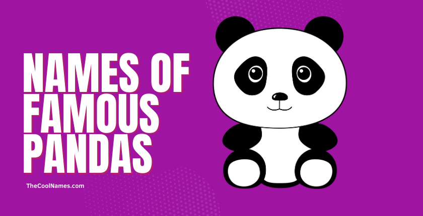 Names of Famous Pandas