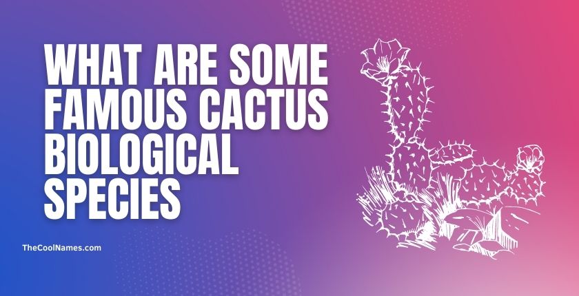 What are some Famous Cactus Biological Species
