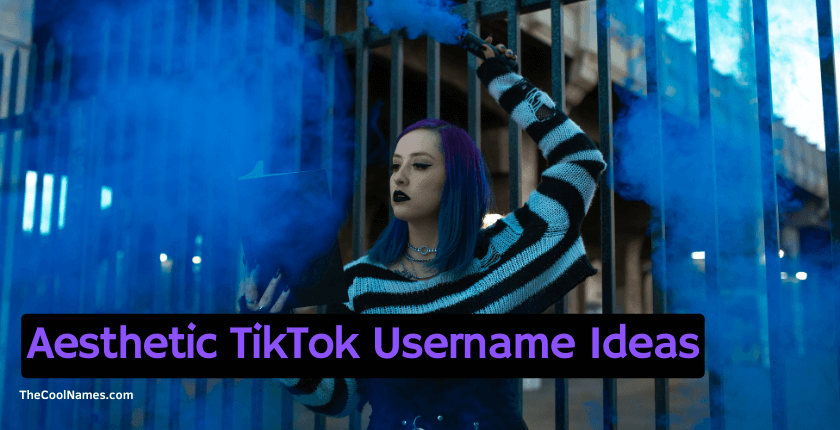 Aesthetic TikTok Usernames Ideas 