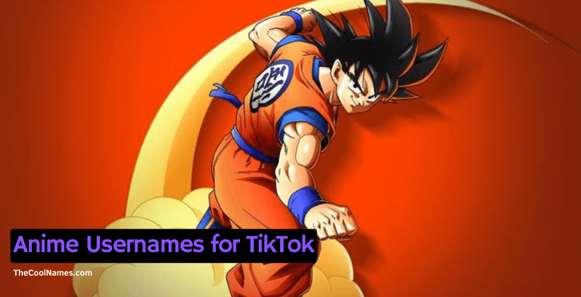 Anime Usernames for TikTok 