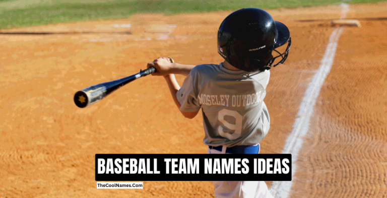 350 Baseball Team Names List For Newbie Pro Players