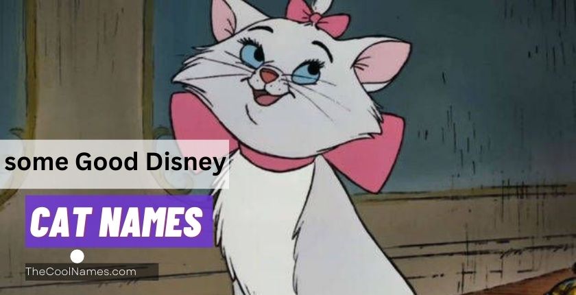 What are some Good Disney Cat Names