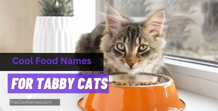 Cool Food Names For Tabby Cats