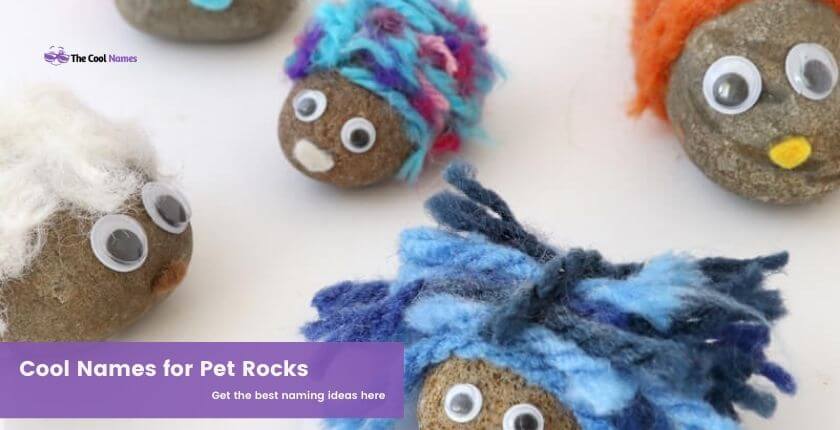 Cool Names for Pet Rocks