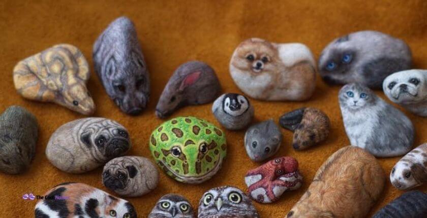 Cute Names for Pet Rocks