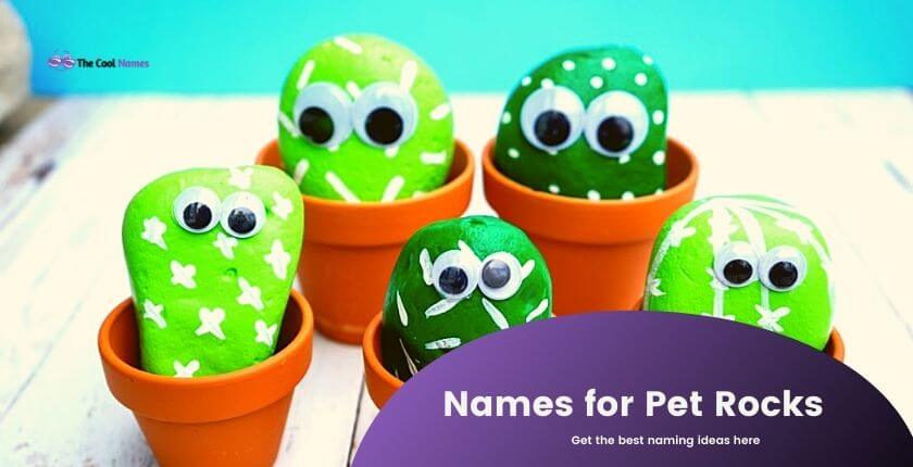Good Names for Pet Rocks