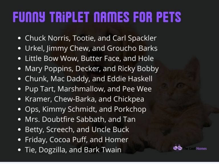 Cool Triplet Names For Pets You'll Love These Trio Names