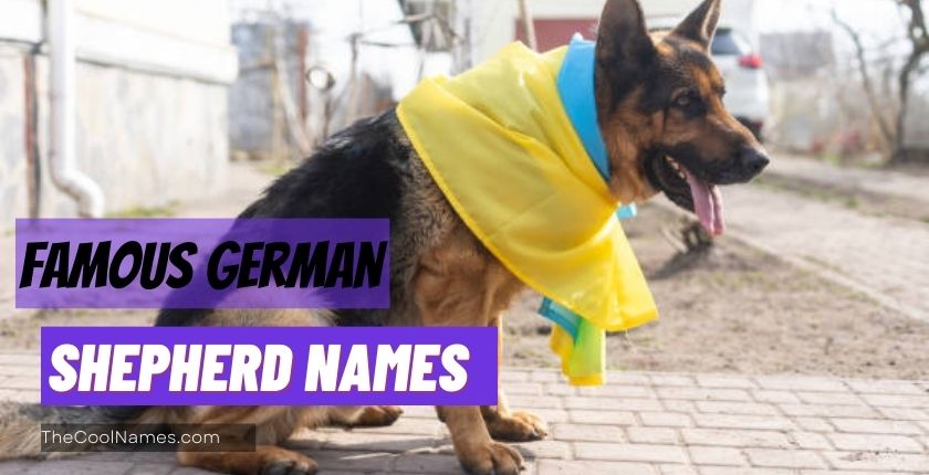 Famous German Shepherd Names