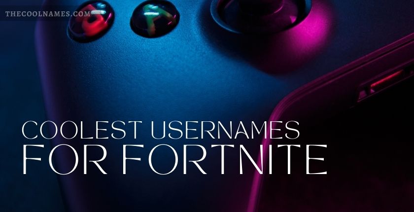 1350+ Coolest Usernames For Social Media And Gaming [2024]