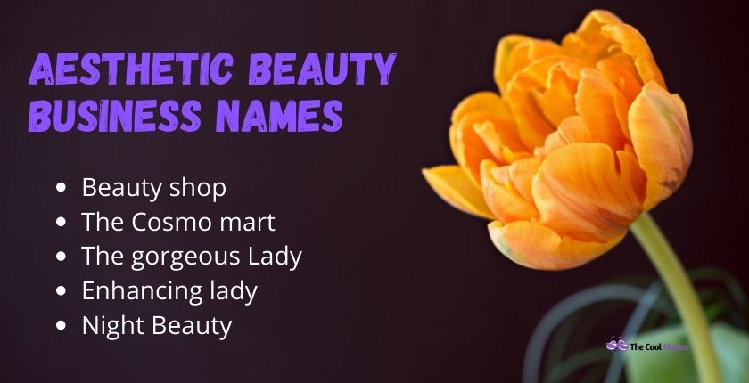 Aesthetic Beauty Business Names