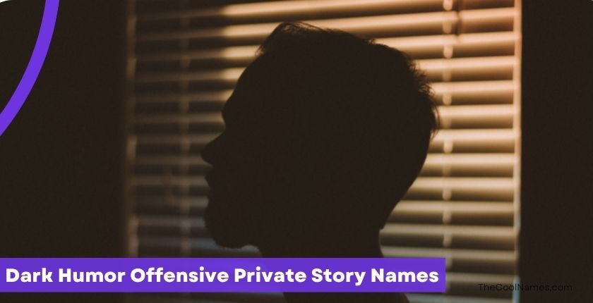 Dark Humor Offensive Private Story Names